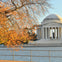 Washington D.C.