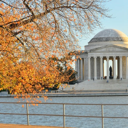 Washington D.C.