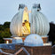 Royal Observatory