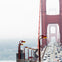 Grand City Tour of San Francisco