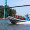 Vancouver: City and Seal Cruise