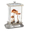 Three dried mushrooms displayed in a clear rectangular glass jar with a lid, lit by soft light casting shadows.