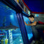 LEGOLAND® California Resort: Entry Ticket