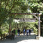 Visitors walking through the entrance of Muir Woods National Monument, surrounded by tall trees and greenery.
