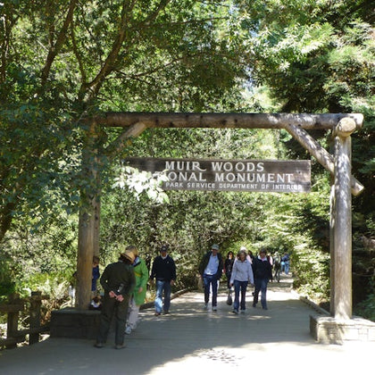 Visitors walking through the entrance of Muir Woods National Monument, surrounded by tall trees and greenery.