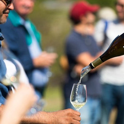 From San Francisco: Napa & Sonoma Valley Full Day Wine Tour