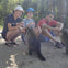 Raccoons