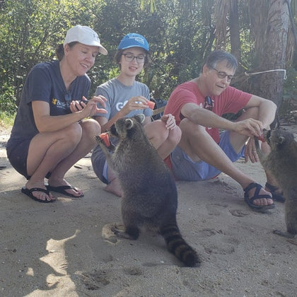 Raccoons