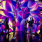 People standing in a vibrant, mirrored room with colorful abstract lighting and reflections, some taking photos.