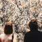 Metropolitan Museum of Art Highlights Tour