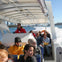 2.5hr Adventure Whale Watching Cruise
