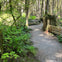 Hiking in Vancouver's beautiful nature.