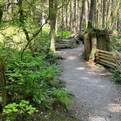 Hiking in Vancouver's beautiful nature.
