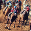 Belmont Stakes