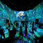ARTECHOUSE Washington DC: Entry Ticket
