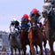 Breeders Cup