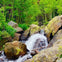 A small waterfall flowing over rocks surrounded by lush green trees in a forested area.