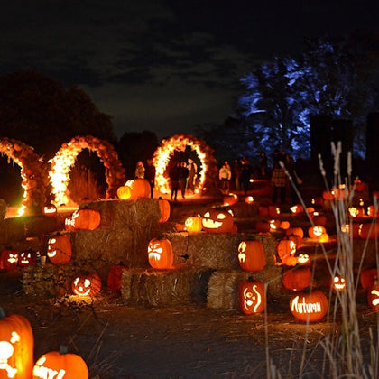 A nighttime scene featuring numerous carved pumpkins with lit candles arranged on hay bales, and arches illuminated in the background.