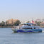 Long Beach Whale Watching & Dolphin