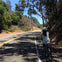 A person wearing a helmet rides a bicycle on a tree-lined road under a clear blue sky.