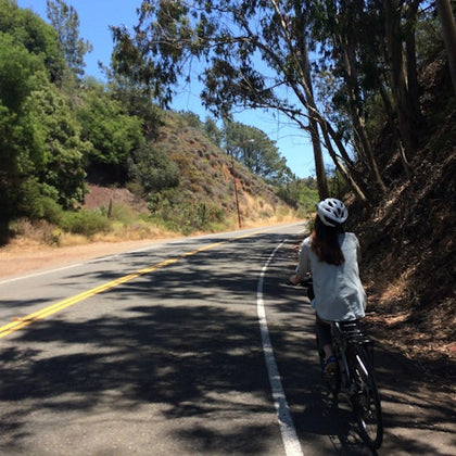 A person wearing a helmet rides a bicycle on a tree-lined road under a clear blue sky.
