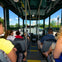 Washington DC and Arlington Cemetery Hop on Hop off Tour
