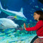 SEA LIFE Sydney Aquarium: Entry Ticket