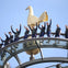 Tottenham Hotspur Stadium: The Dare Skywalk