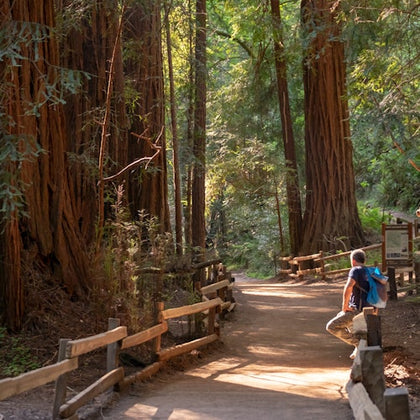 From San Francisco: Muir Woods & Sausalito Morning Tour