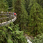 Vancouver: Capilano Suspension Bridge Park & City Tour