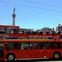 San Francisco Deluxe Sightseeing Tours