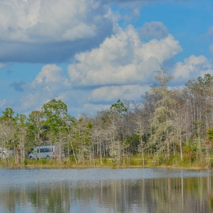 Big Cypress