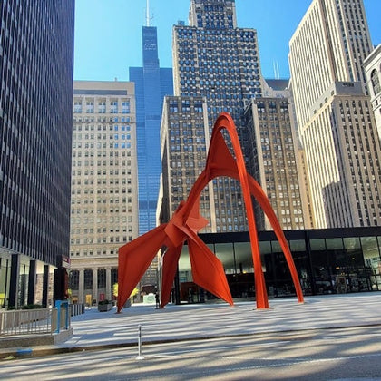 Chicago City: Mini Bus Tour