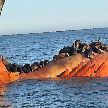 Los Angeles Long Beach Harbor: Eco-Tour Cruise in a Glass Bottom Boat