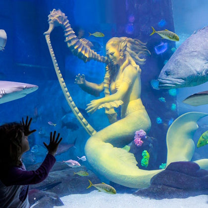 SEA LIFE Sydney Aquarium: Entry Ticket