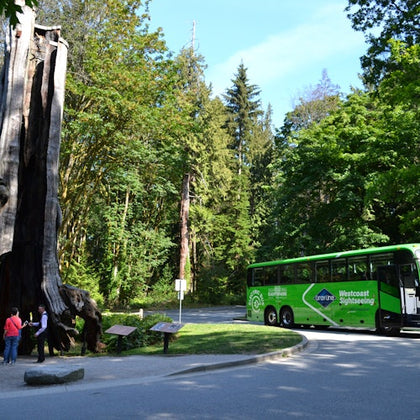 Vancouver: Capilano Suspension Bridge Park & City Tour