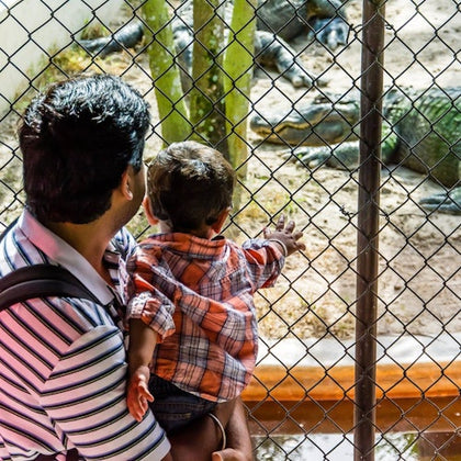 Wildlife Presentation 