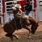 Calgary Stampede Rodeo