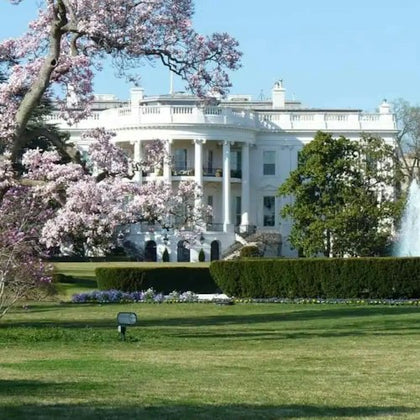 A large white building with columns surrounded by blooming trees, shrubs, and a fountain in a well-maintained garden.
