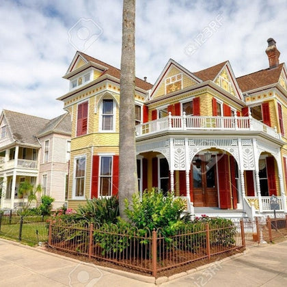 Houston Sightseeing Tour and Galveston Day Trip