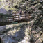 Bridge overlooking falls
