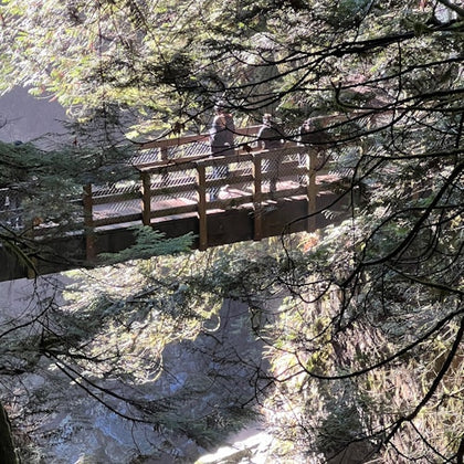 Bridge overlooking falls