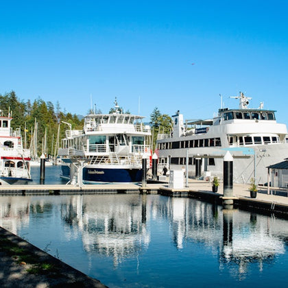 West Coast Lunch Cruise by Harbour Cruises