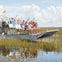 Everglades: 40-Minute Airboat Ride & Animal Sanctuary Admission