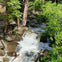 A small, rocky waterfall surrounded by lush green trees and foliage in a forested area.