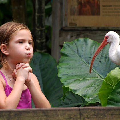 Flamingo Gardens: Skip The Line Ticket