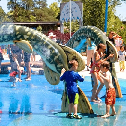 Children playing in a water park with decorative fish structures spraying water, surrounded by adults and trees.