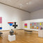 Everson Museum of Art: Entry Ticket