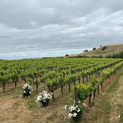 Ru Vango Winery