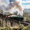 A green steam train emitting white smoke crosses a stone viaduct in a scenic, hilly landscape under a partly cloudy sky.